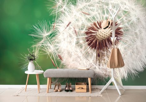 FOTOTAPETA NÁDHERNÝ DETAIL PAMPELIŠKY - TAPETY KVĚTINY - TAPETY