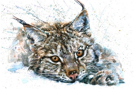 TAPETE LUCHS IN AQUARELL - TAPETEN MIT TIERMOTIVEN - TAPETEN