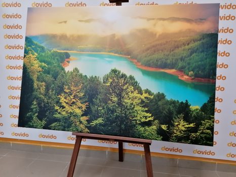 КАРТИНА НА ПЛАТНО – РЕКА В ЗЕЛЕНА ГОРА - КАРТИНИ НА ПРИРОДАТА И ПЕЙЗАЖИ - КАРТИНИ