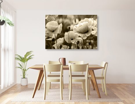 QUADRO SU TELA – CAMPO DI PAPAVERI SELVATICI IN VERSIONE SEPPIA - QUADRI BIANCO E NERO - STAMPE E QUADRI