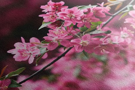WANDBILD DETAILLIERTE KIRSCHBAUMBLÜTEN - BILDER BLUMEN - BILDER