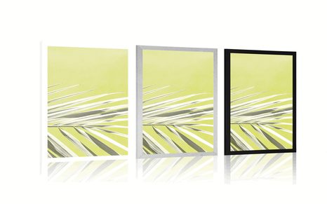 PLAGÁT PALMOVÝ LIST - PRÍRODA - PLAGÁTY