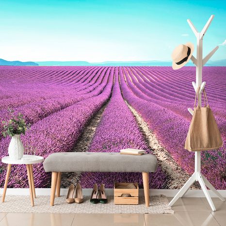 SELF ADHESIVE WALL MURAL ENDLESS LAVENDER FIELD - SELF-ADHESIVE WALLPAPERS - WALLPAPERS