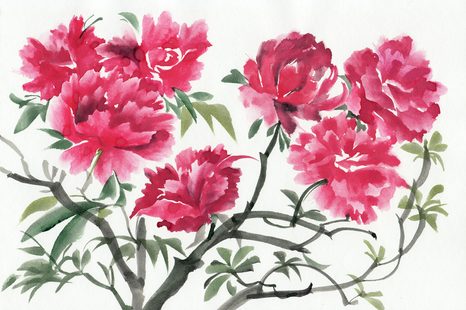 TAPETA KVĚTINY AZALKY - TAPETY KVĚTINY - TAPETY