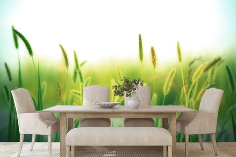 SAMOLEPÍCÍ FOTOTAPETA STÉBLA TRÁVY - SAMOLEPÍCÍ TAPETY - TAPETY