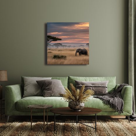 WANDBILD AFRIKANISCHE LANDSCHAFT MIT AKAZIE - BILDER VON ELEFANTEN - BILDER