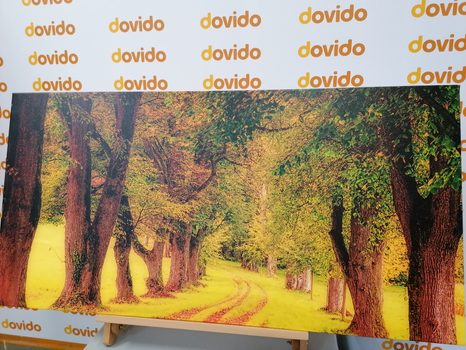 OBRAZ CHODNÍK PODZIMNÍM LESEM - OBRAZY PŘÍRODY A KRAJINY - OBRAZY