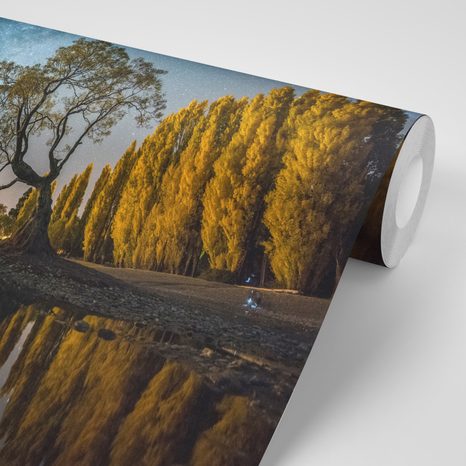 SELBSTKLEBENDE FOTOTAPETE BAUM UNTER EINEM STERNENHIMMEL - SELBSTKLEBENDE TAPETEN - TAPETEN