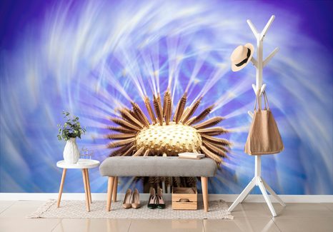 SAMOLEPÍCÍ TAPETA PAMPELIŠKA S FIALOVÝM NÁDECHEM - SAMOLEPÍCÍ TAPETY - TAPETY