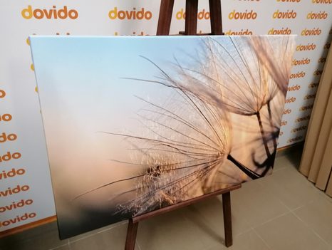 ΕΙΚΌΝΑ ΜΙΑΣ ΠΙΚΡΑΛΊΔΑΣ ΣΕ ΈΝΑ ΧΩΡΆΦΙ ΤΗΝ ΑΝΑΤΟΛΉ ΤΟΥ ΗΛΊΟΥ - ΠΊΝΑΚΕΣ ΑΠΌ ΛΟΥΛΟΎΔΙΑ - ΠΊΝΑΚΕΣ