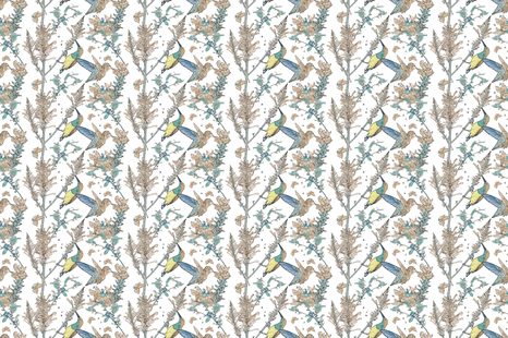 ΤΑΠΕΤΣΑΡΊΑ ΠΟΥΛΙΆ ΠΟΥ ΜΑΖΕΎΟΥΝ ΜΟΎΡΑ - ΕΚΛΕΚΤΉΣ ΠΟΙΌΤΗΤΑΣ ΚΑΙ ΡΕΤΡΌ ΤΑΠΕΤΣΑΡΊΑ - ΤΑΠΕΤΣΑΡΊΕΣ