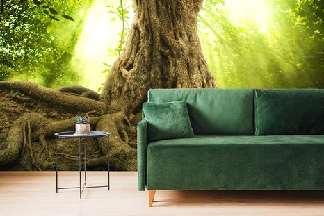 TAPETA KOŘEN STROMU - TAPETY PŘÍRODA - TAPETY