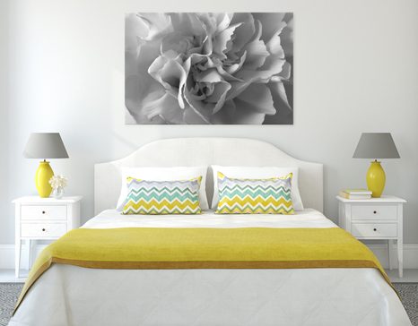 KÉP SZEKFŰ FEKETE FEHÉRBEN - FEKETE-FEHÉR KÉPEK - KÉPEK