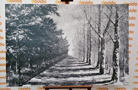 OBRAZ PODZIMNÍ ALEJ STROMŮ V ČERNOBÍLÉM PROVEDENÍ - ČERNOBÍLÉ OBRAZY - OBRAZY