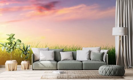 TAPETA ZÁPAD SLUNCE NAD LOUKOU - TAPETY PŘÍRODA - TAPETY