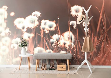 SELF ADHESIVE WALL MURAL COTTON GRASS - SELF-ADHESIVE WALLPAPERS - WALLPAPERS