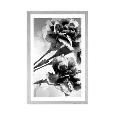 POSTER MIT PASSEPARTOUT BLÜTE DER NELKE IN SCHWARZ-WEISS - SCHWARZ-WEISS - POSTER