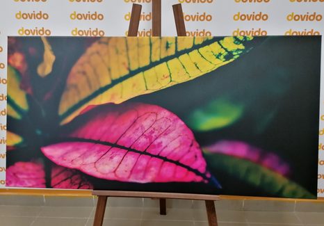 WANDBILD FRISCHE BLÄTTER - BILDER VON NATUR UND LANDSCHAFT - BILDER