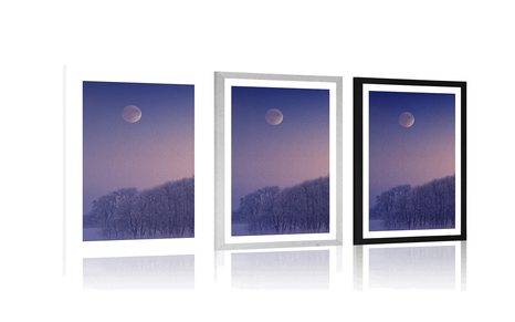 POSTER – LUNA PIENA SOPRA IL VILLAGGIO - NATURA - POSTER