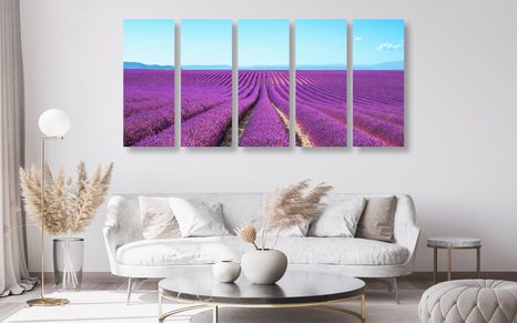 5-DÍLNÝ OBRAZ NEKONEČNÉ LEVANDULOVÉ POLE - OBRAZY PŘÍRODY A KRAJINY - OBRAZY