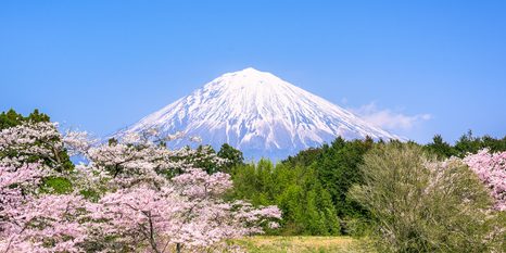 WANDBILD BERG FUJI - BILDER VON NATUR UND LANDSCHAFT - BILDER