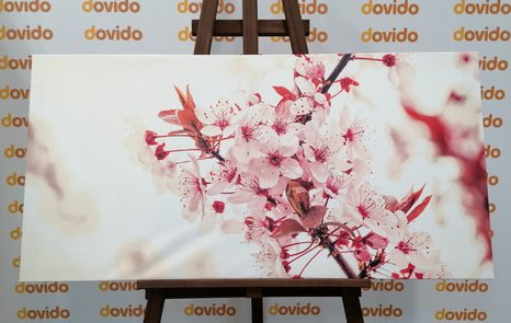 WANDBILD ROSA KIRSCHBAUMBLÜTEN - BILDER BLUMEN - BILDER