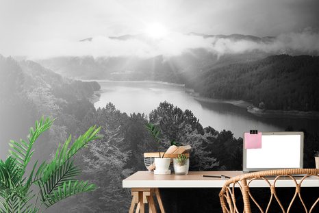 CARTA DA PARATI – FIUME NEL MEZZO DELLA FORESTA IN BIANCO E NERO - CARTA DA PARATI BIANCO E NERO - CARTA DA PARATI