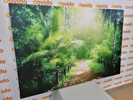 WANDBILD WEG AUF DEN SEYCHELLEN - BILDER VON NATUR UND LANDSCHAFT - BILDER