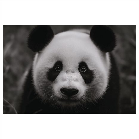 WANDBILD NIEDLICHER PANDA IN DER NATUR - BILDER TIERE - BILDER