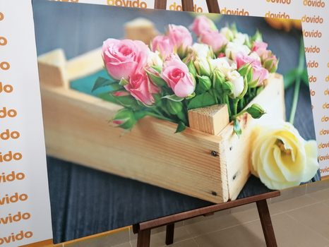 ΕΙΚΌΝΑ ΑΠΑΛΉ ΣΎΝΘΕΣΗ ΛΟΥΛΟΥΔΙΏΝ - ΠΊΝΑΚΕΣ ΝΕΚΡΉΣ ΦΎΣΗΣ - ΠΊΝΑΚΕΣ