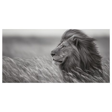 OBRAZ MAJESTÁTNÍ LEV V PŘÍRODĚ - OBRAZY LVI A TYGŘI - OBRAZY