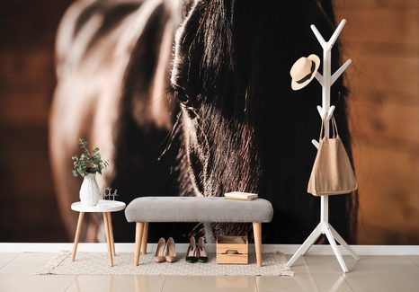 SAMOLEPÍCÍ FOTOTAPETA MAJESTÁTNÍ KŮŇ - SAMOLEPÍCÍ TAPETY - TAPETY