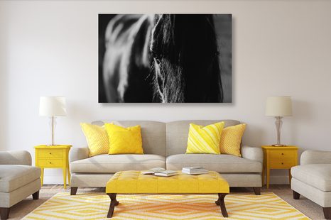 KÉP FENSÉGES LÓ FEKETE FEHÉRBEN - FEKETE-FEHÉR KÉPEK - KÉPEK