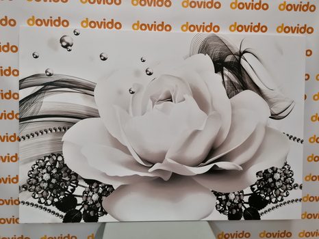 KÉP FÉNYŰZŐ RÓZSA ABSZTRAKCIÓ FEKETE FEHÉRBEN - FEKETE-FEHÉR KÉPEK - KÉPEK