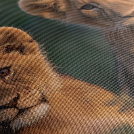 WANDBILD LÖWENJUNGE IN DER WILDNIS - BILDER VON LÖWEN UND TIGERN - BILDER