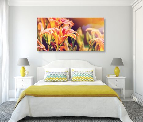 OBRAZ NÁDHERNE KVITNÚCE ZÁHRADNÉ KVETY - OBRAZY KVETOV - OBRAZY