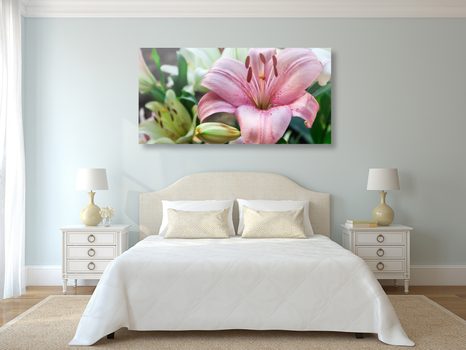 CANVAS PRINT PINK LILY IN BLOOM - PICTURES FLOWERS - PICTURES
