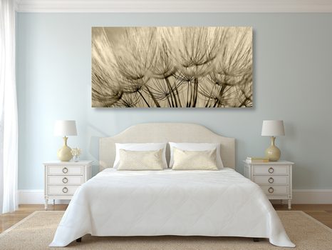 QUADRO SU TELA – SEMI DI SOFFIONE IN VERSIONE SEPPIA - QUADRI BIANCO E NERO - STAMPE E QUADRI