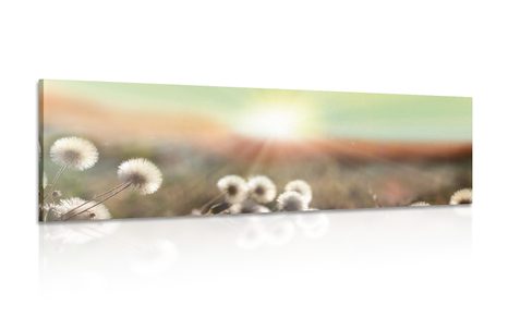TABLEAU SUR TOILE – PANORAMA DE PRAIRIE FLEURIE - TABLEAUX DE LA NATURE ET DES PAYSAGES - TABLEAUX