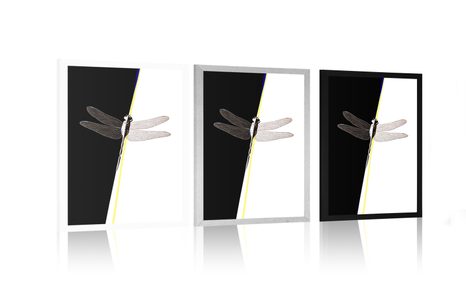 POSTER SCHÖNHEIT DER LIBELLE - MOTIVE AUS UNSERER WERKSTATT - POSTER