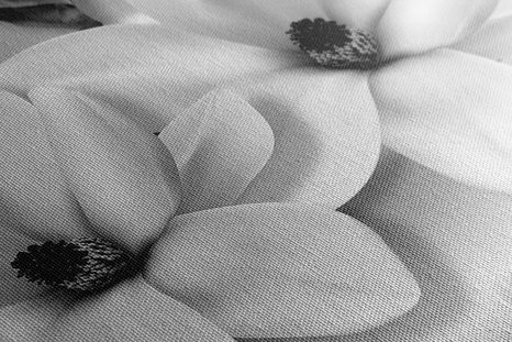 КАРТИНА НА ПЛАТНО – ЛУКСОЗНА МАГНОЛИЯ С ПЕРЛИ В ЧЕРНО-БЯЛ ВАРИАНТ - ЧЕРНО-БЕЛИ КАРТИНИ - КАРТИНИ