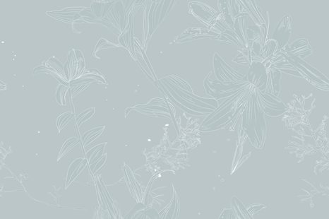 CARTA DA PARATI – GIGLIO DELICATO - CARTA DA PARATI CON FIORI - CARTA DA PARATI