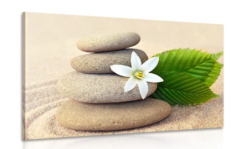 PICTURE WHITE FLOWER AND STONES IN THE SAND