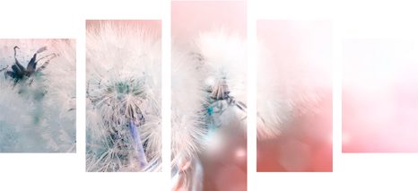 TABLOU 5-PIESE PĂPĂDIE CU ELEMENTE ABSTRACTE - TABLOU FLORI - TABLOURI