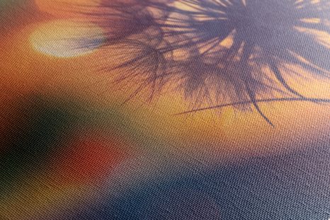 КАРТИНА НА ПЛАТНО – СИЯЕЩО ГЛУХАРЧЕ - КАРТИНИ С ЦВЕТЯ - КАРТИНИ