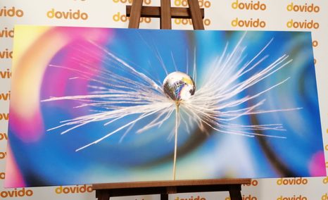 SLIKA KAPLJA ROSE NA ABSTRAKTNEM OZADJU - ABSTRAKTNE SLIKE - SLIKE