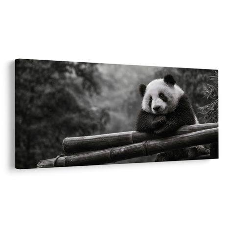 WANDBILD RUHIGER PANDA IN DER NATUR - BILDER TIERE - BILDER