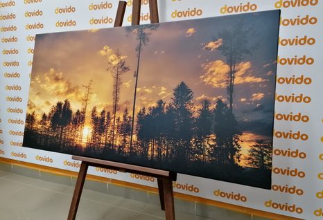 КАРТИНА НА ПЛАТНО – ПРИВЕЧЕР В ГОРАТА - КАРТИНИ НА ПРИРОДАТА И ПЕЙЗАЖИ - КАРТИНИ