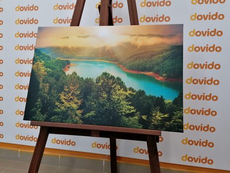 КАРТИНА НА ПЛАТНО – РЕКА В ЗЕЛЕНА ГОРА - КАРТИНИ НА ПРИРОДАТА И ПЕЙЗАЖИ - КАРТИНИ