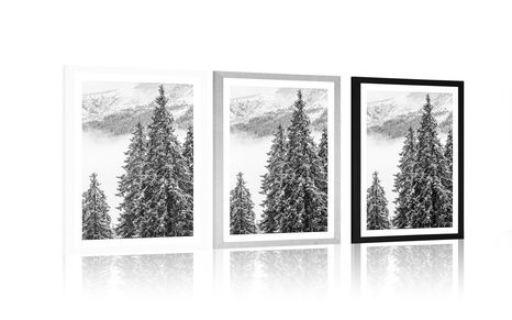 POSTER WITH MOUNT SNOWY PINE TREES IN BLACK AND WHITE - BLACK AND WHITE - POSTERS